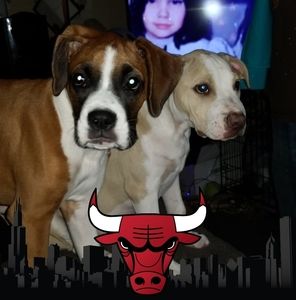 Meet your Posher, Krystallynn